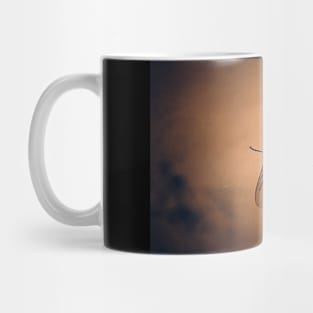 Shoo, Fly Mug